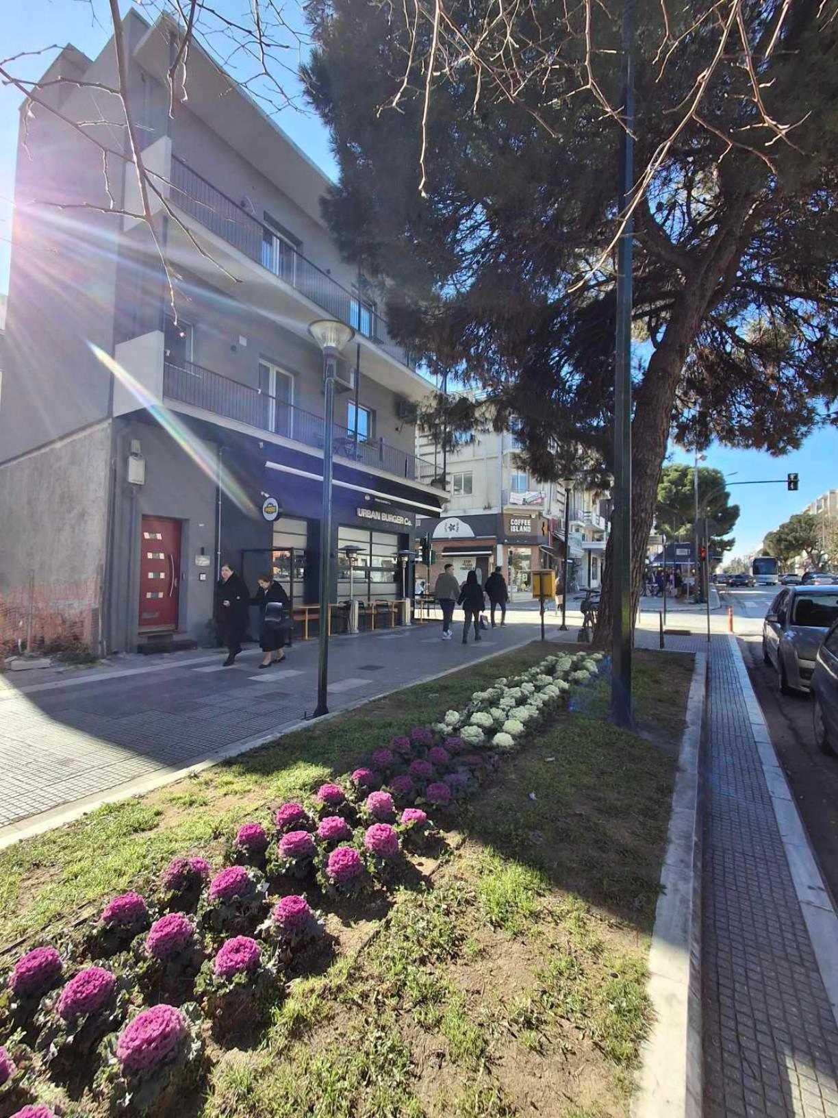 אלכסנדרופולי City Center Apartment 2 מראה חיצוני תמונה